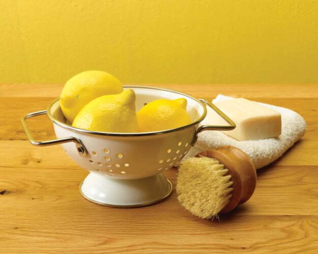 A Green Clean: Homemade Cleaners to Detox Your Home